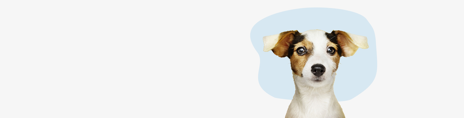Pet_slider_02.jpg